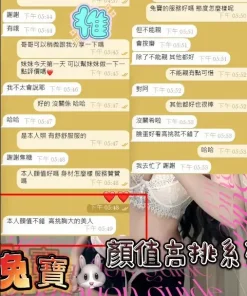 台中定點茶-兔寶　