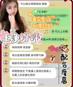 台南定點茶-王淨