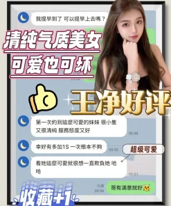 台南定點茶-王淨