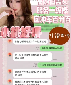 台南定點茶-小桃