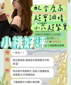 台南定點茶-小桃