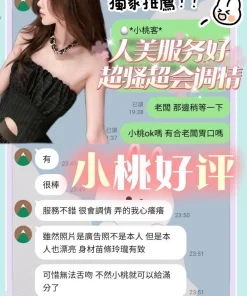 台南定點茶-小桃