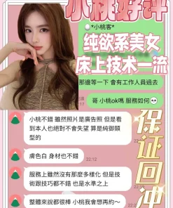 台南定點茶-小桃