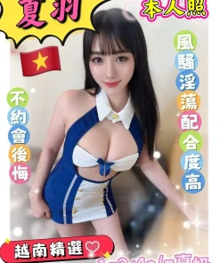 雲林定點茶-夏羽