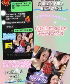 屏東定點茶-茉莉