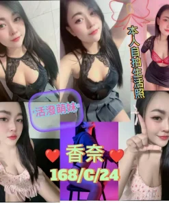 新北定點茶-香奈