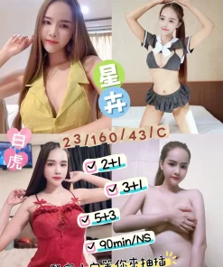 台東定點茶-星卉