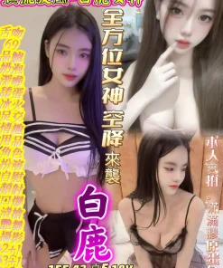 台中定點茶-白鹿