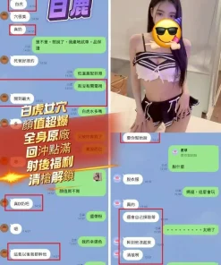 台中定點茶-白鹿