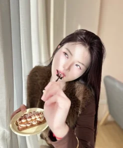 新竹定點茶-太陽