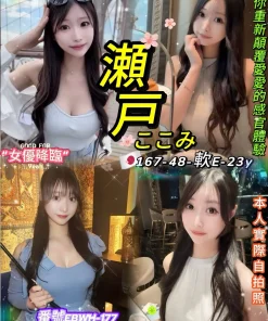 台北定點茶-瀨戶