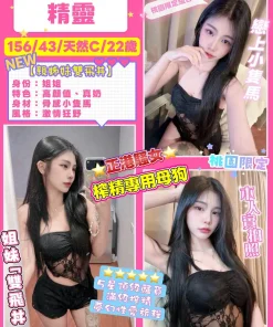 桃園定點茶-精靈