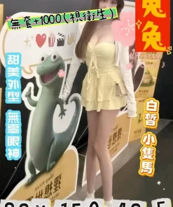 桃園外送茶-兔兔