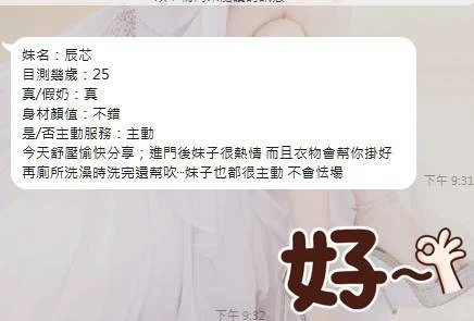 嘉義定點茶-辰芯