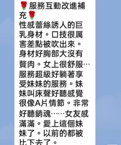 雲林定點茶-雞排妹