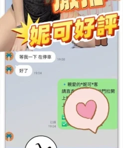 台南定點茶-妮可