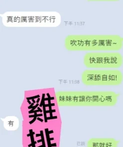 雲林定點茶-雞排妹