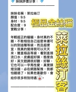 桃園定點茶-萊拉絲汀