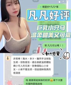 台南定點茶-凡凡
