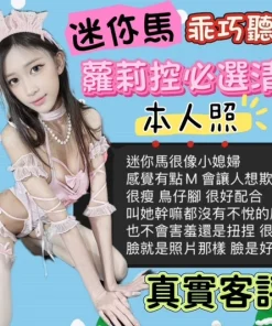 台中定點茶-迷你馬
