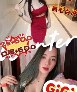 南投定點茶-GIGI