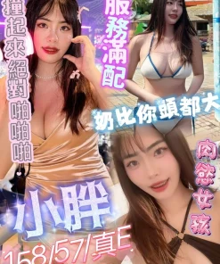 高雄定點茶-小胖