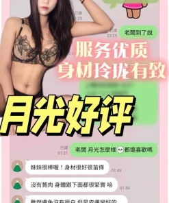台南定點茶-月光
